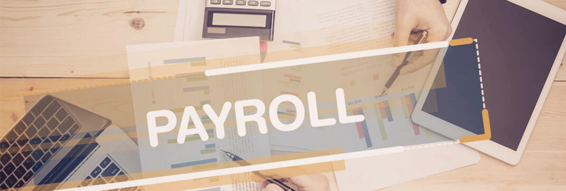 HR & Payroll Software