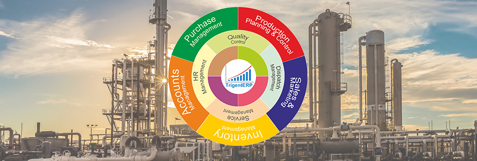 ERP for Manufaturers