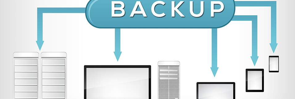 Backup & Disaster Recovery